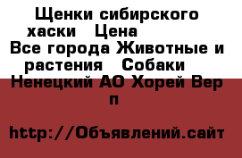 Щенки сибирского хаски › Цена ­ 12 000 - Все города Животные и растения » Собаки   . Ненецкий АО,Хорей-Вер п.